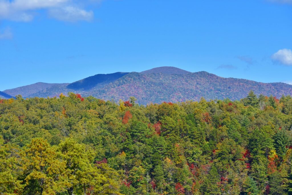 Gatlinburg, TN. hiking