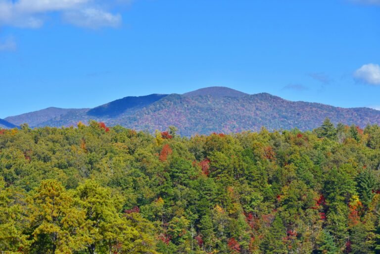 A vibrant autumn scene showcasing colorful foliage and mountains in Gatlinburg, TN.