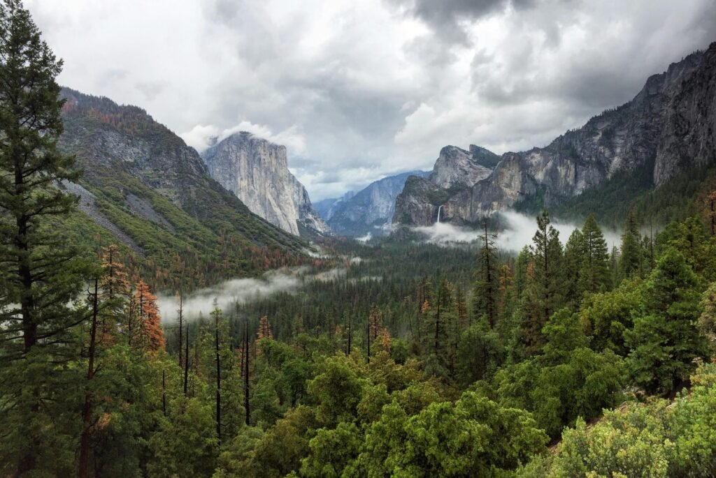 pexels-photo-640907-640907 Stunning landscape view of Yosemite Valley featuring lush forests, mountains, and misty skies.