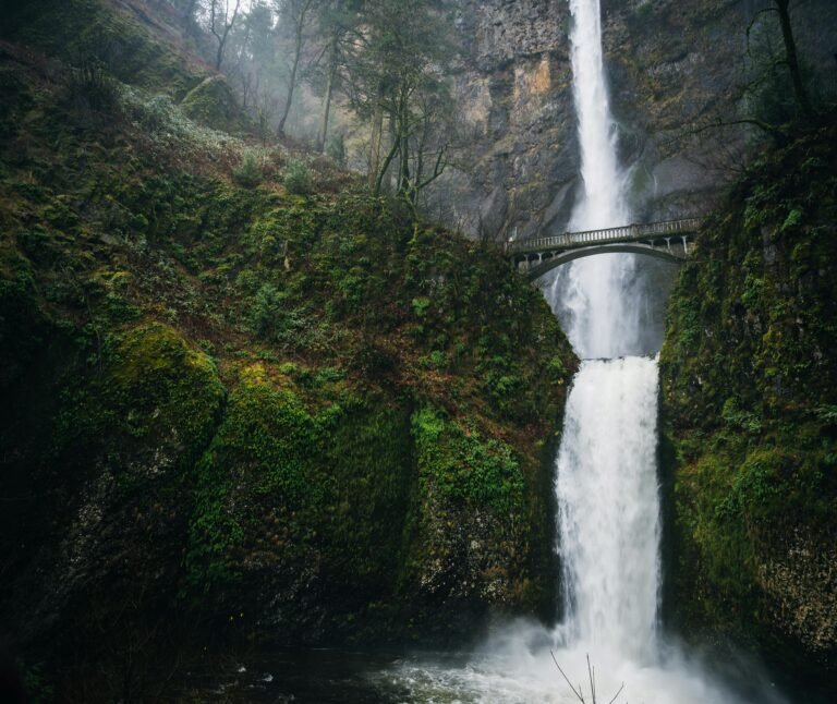 A breathtaking view of a powerful waterfall beneath a scenic bridge, surrounded by lush greenery.