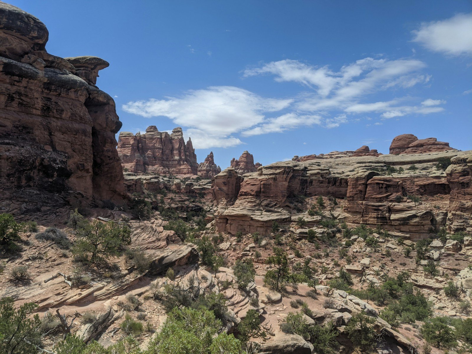 5 Most Challenging Hikes. A view of a rocky landscape with trees and rocks