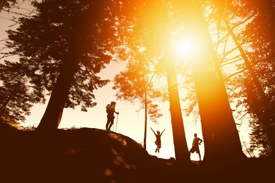Must Do Hikes in the U.S.: 10 Epic Trails for Every Adventurer