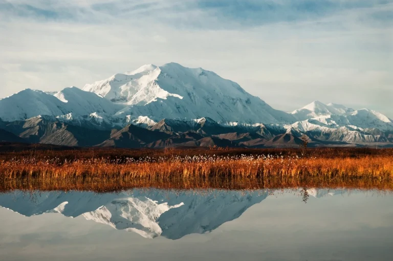 Denali Summer Hiking Trip: Hiking Trails and Top Attractions for Summer