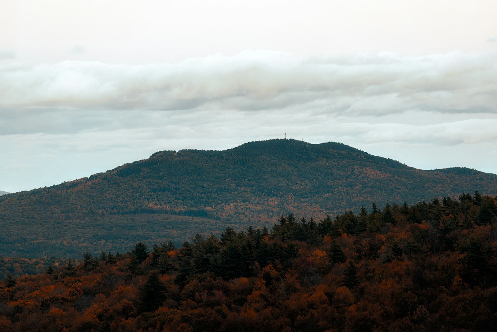 A view of a mountain range with trees in the foreground