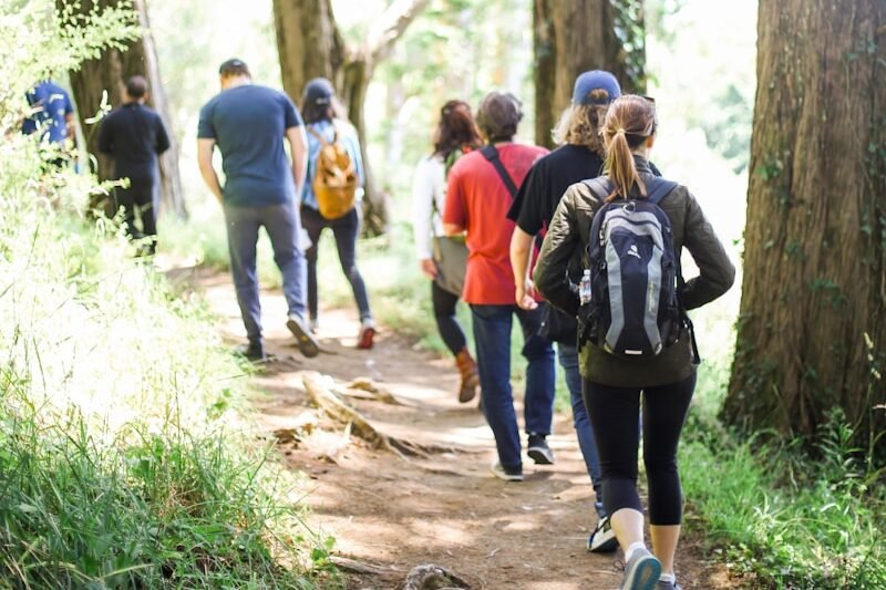 people walking on dirt road between trees during daytime